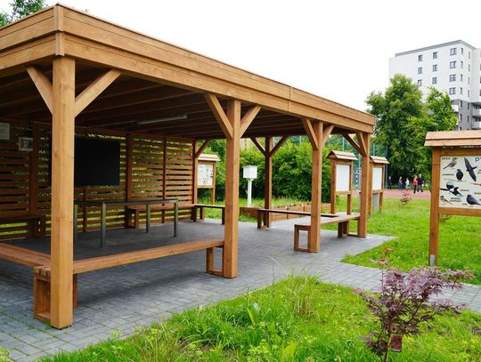 Ekopracownia pod chmurką na terenie Szkoły Podstawowej nr 18 w Chorzowie — zdjęcie archiwalne z 2025 roku