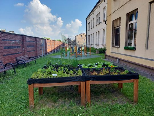 Ogród przy Zespole Szkół Specjalnych nr 3 w Chorzowie, w którym działa Szkoła Podstawowa Specjalna nr 26