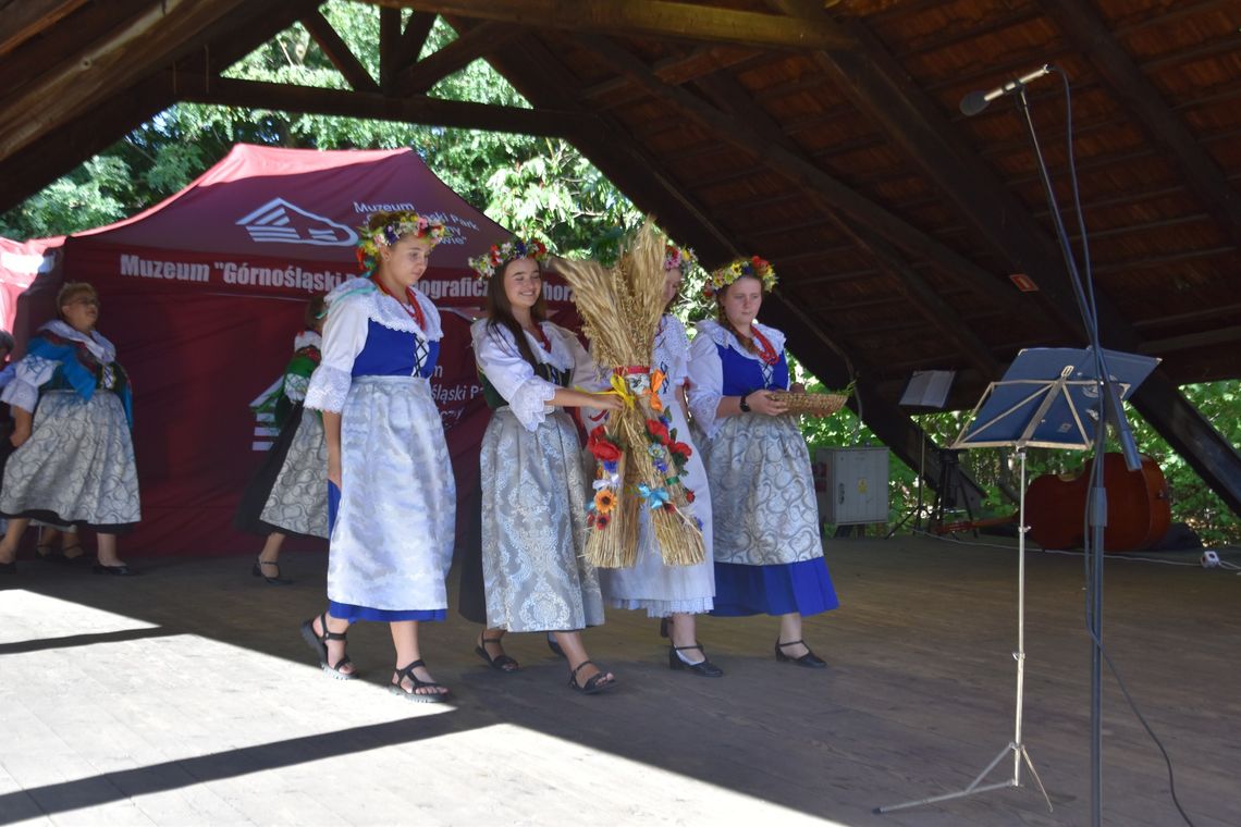 Dzień Kartofla w chorzowskim skansenie Dzień Kartofla w chorzowskim skansenie