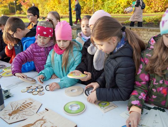 Akcja sadzenia narcyzów w Parku Śląskim