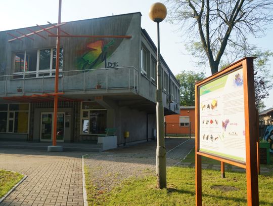 Ekologiczna przestrzeń przy Młodzieżowym Domu Kultury w Chorzowie